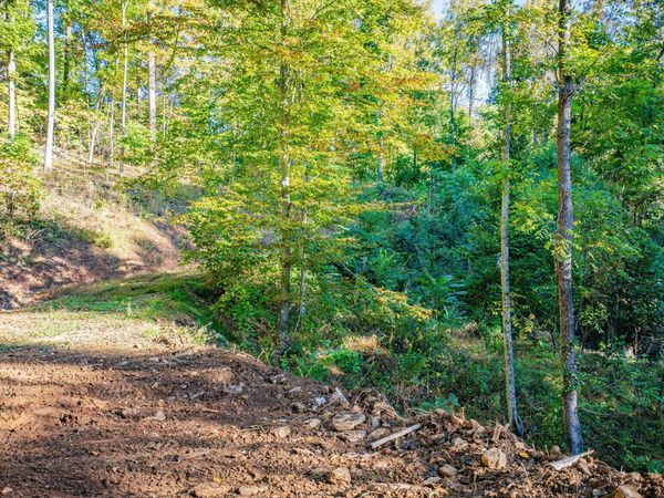Tbd Lot 119 Saratoga Circle, Elizabethton, TN 37643