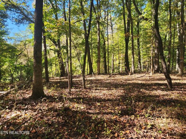 S Chamberlain Ave, Rockwood, TN 37854