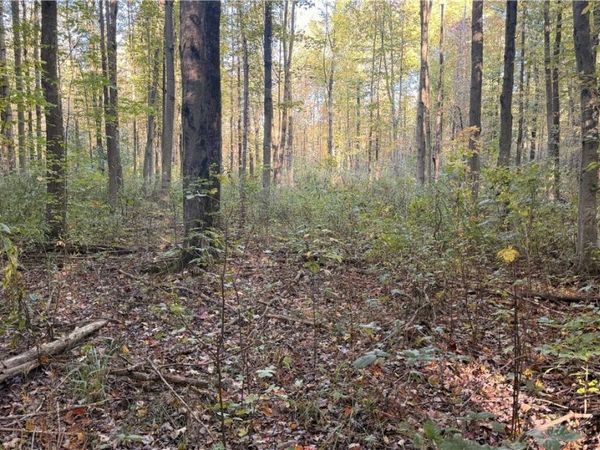 Munson Hill Road , Ashtabula, OH 44004