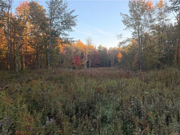 Munson Hill Road , Ashtabula, OH 44004