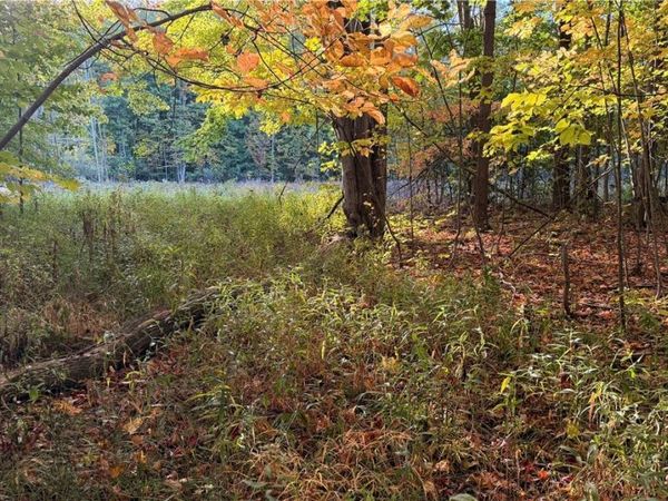Munson Hill Road , Ashtabula, OH 44004