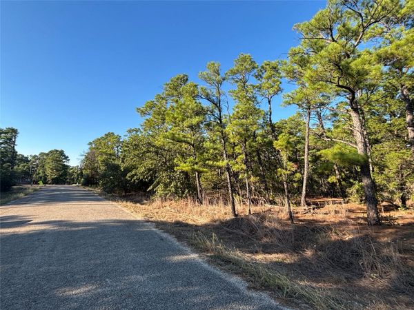 TBD Pine Cone DR, Bastrop, TX 78602