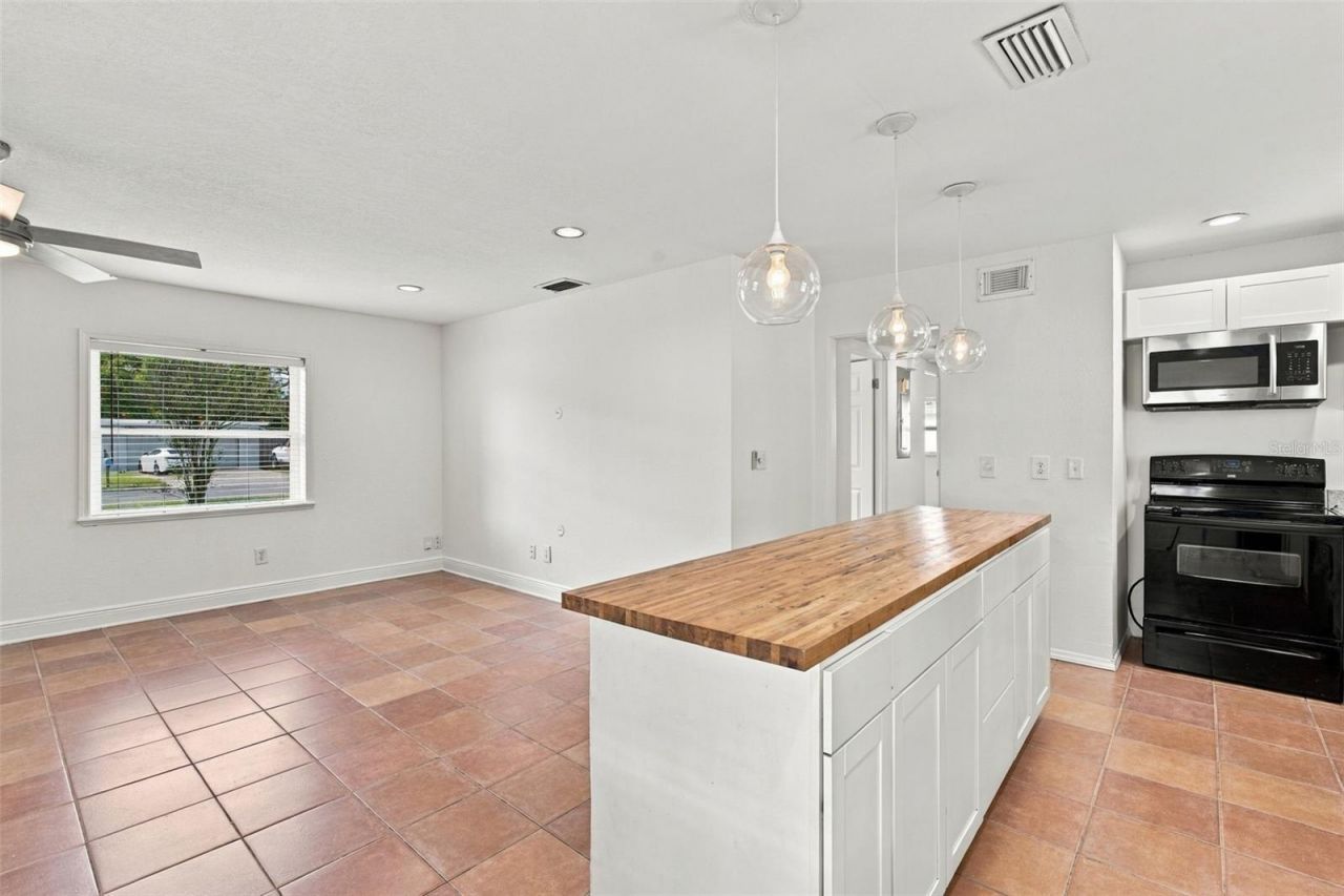 3021 Touraine Avenue, Orlando, FL 32812 Photo