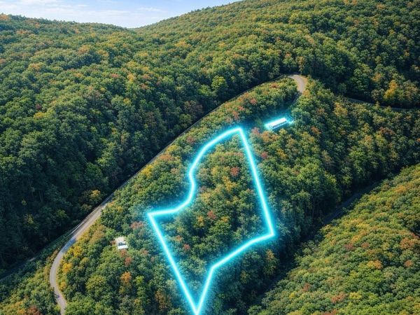 00 Laurel Branch Drive , Chimney Rock, NC 28720