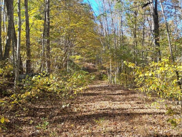 000 Dora Lane , Bakersville, NC 28705