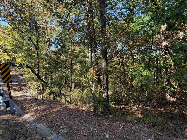 00 Lakeview Drive , Conway, AR 72032