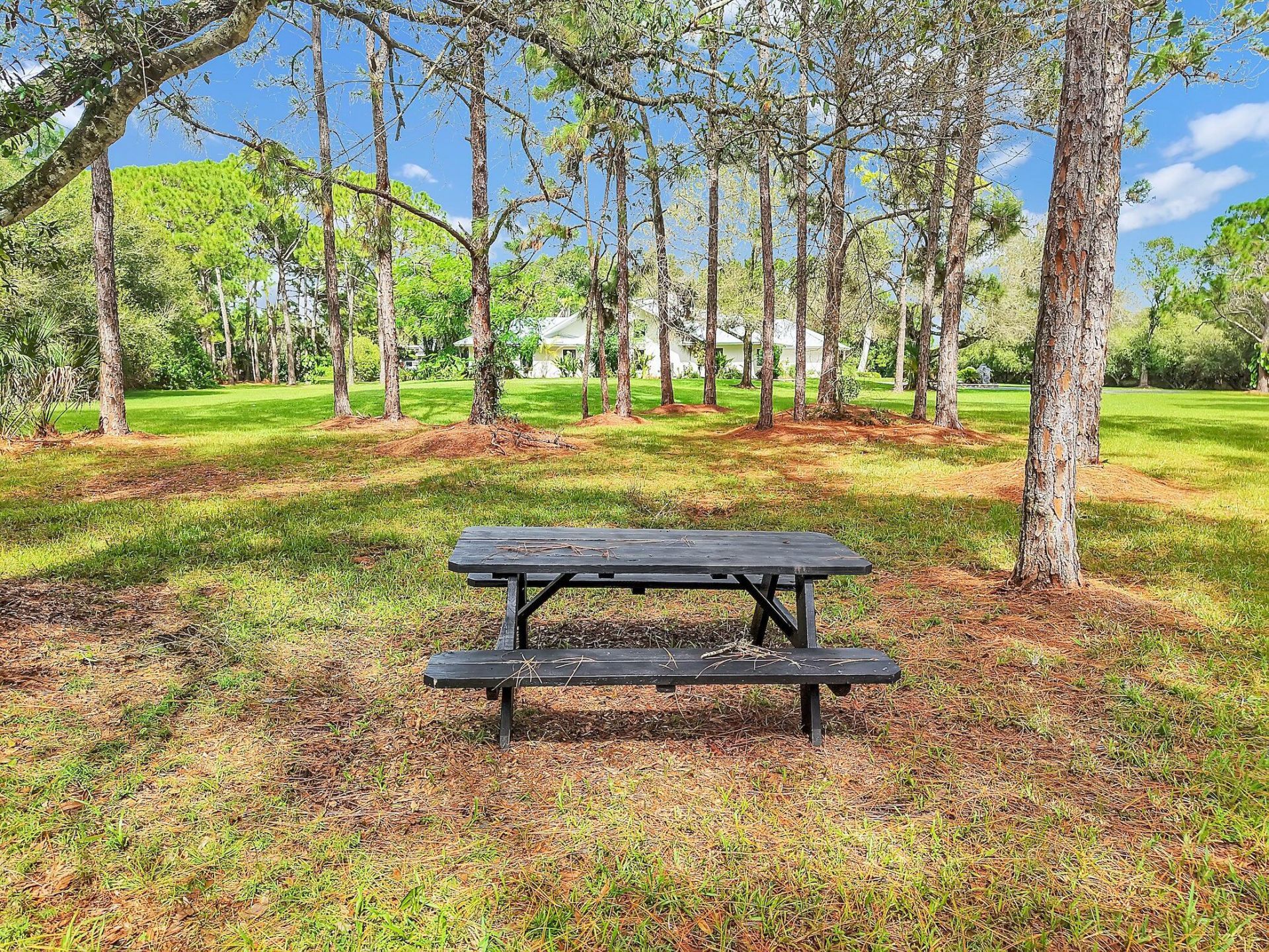 8850 Hidden Pines Road, Fort Pierce, FL 34945 Photo