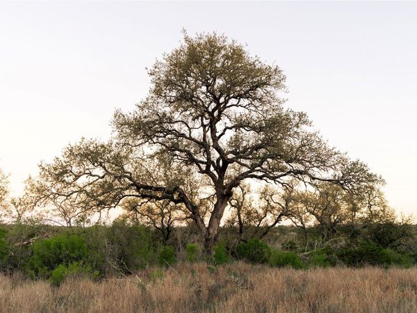 1901 Oak Grove RD , San Marcos, TX 78666