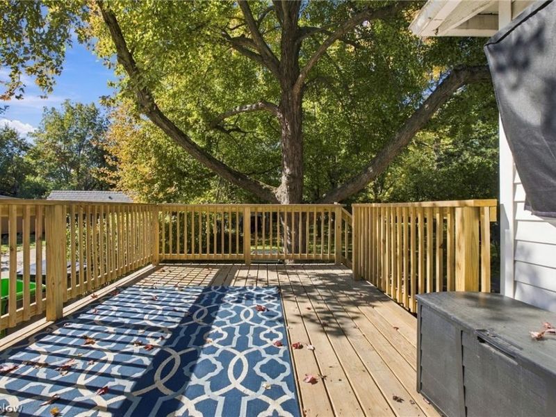 1536 Felton Road, South Euclid, OH 44121 Photo 32