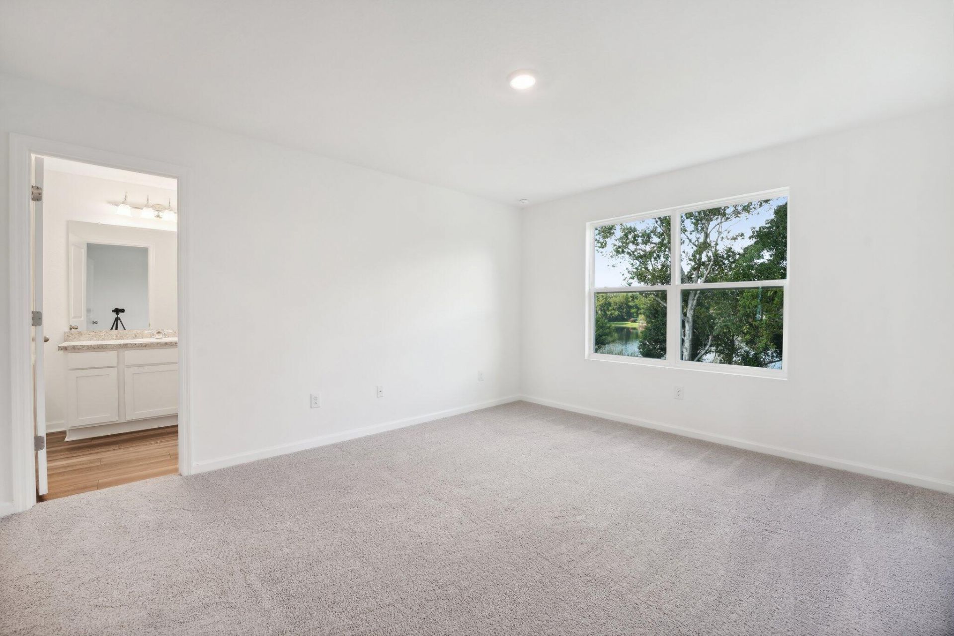 164 Halstead Drive Photo 6