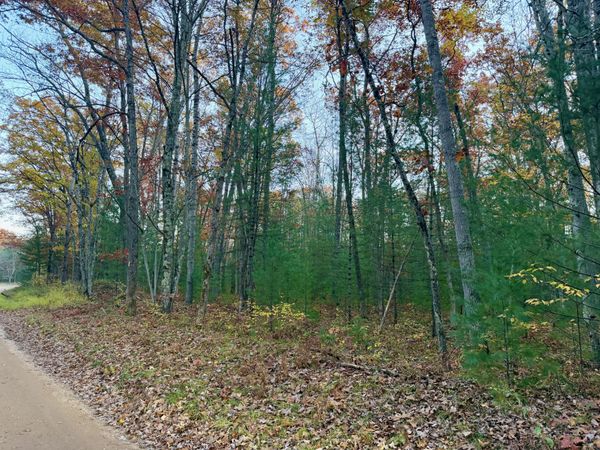 9157 E Riverside Drive, Irons, MI 49644