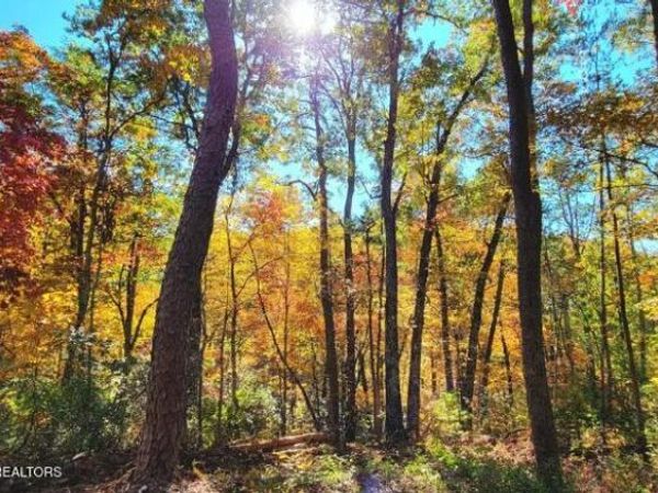 Riversong Ridge Way, Sevierville, TN 37876