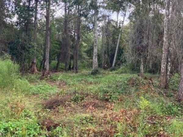 1881 HAZELNUT Street, Bunnell, FL 32110