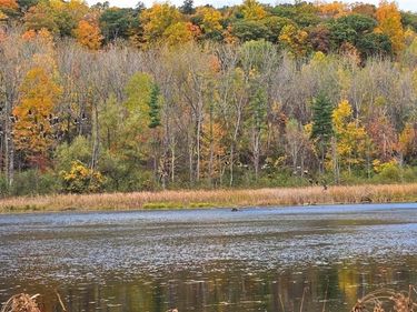 5031 State Route 79 , Burdett, NY 14818