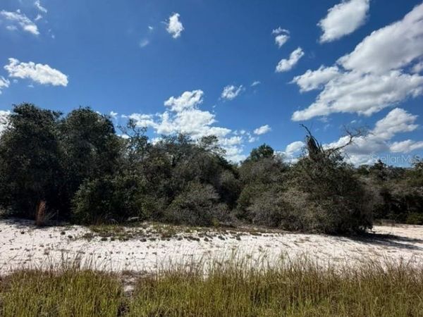 244 DARGEN DRIVE, LAKE PLACID, FL 33852