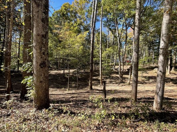 0 Breeden Rd , Unit 3, Charlotte, TN 37036