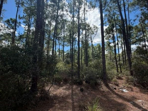 421 AMOROUS AVENUE, LAKE PLACID, FL 33852