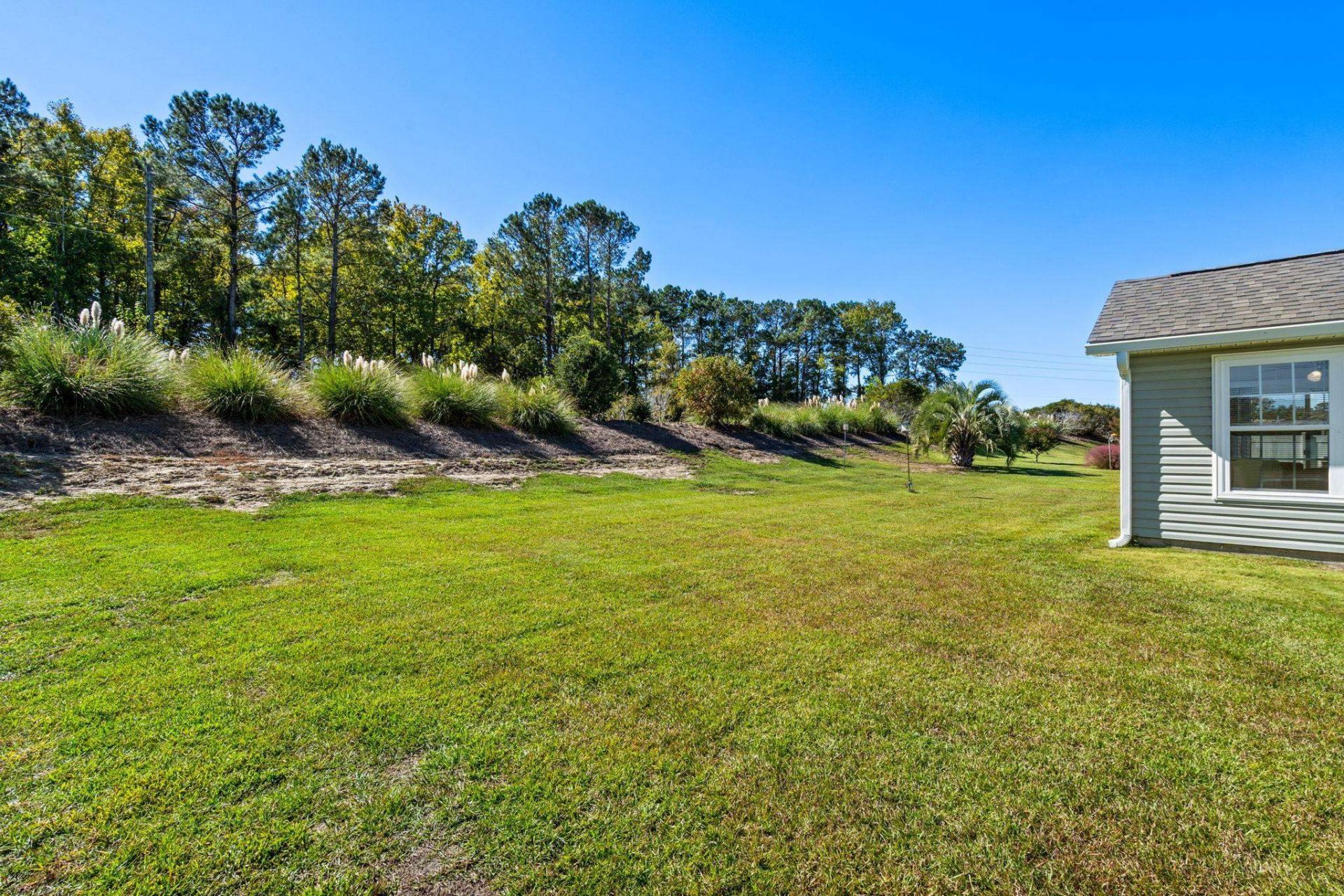 219 Blackpepper Loop Photo 24