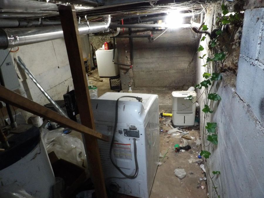 Property Image 45