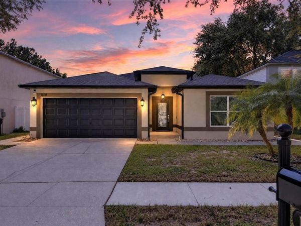 13531 COPPER HEAD DRIVE , RIVERVIEW, FL 33569