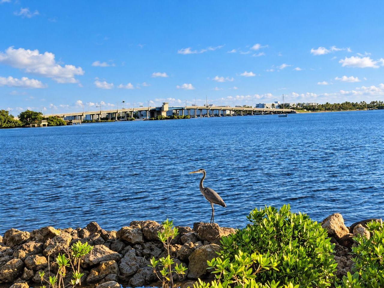 1 S Lakeside Drive, Unit C5, Lake Worth, FL 33460 Photo
