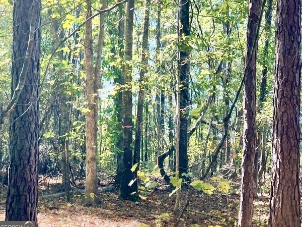 LOT 2 Roberts Quarters Road, Molena, GA 30258