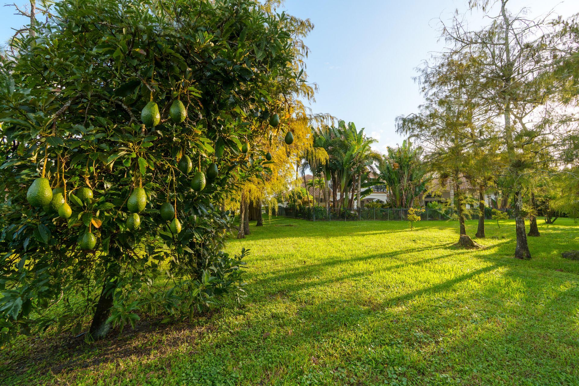 14623 Halter Road, Wellington, FL 33414 Photo