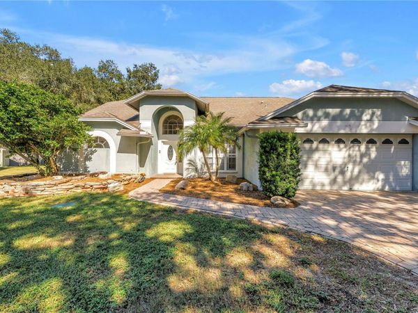 18520 SUNWARD LAKE PLACE , LUTZ, FL 33549