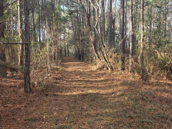 0 Jackson Street, Castleberry, AL 36432