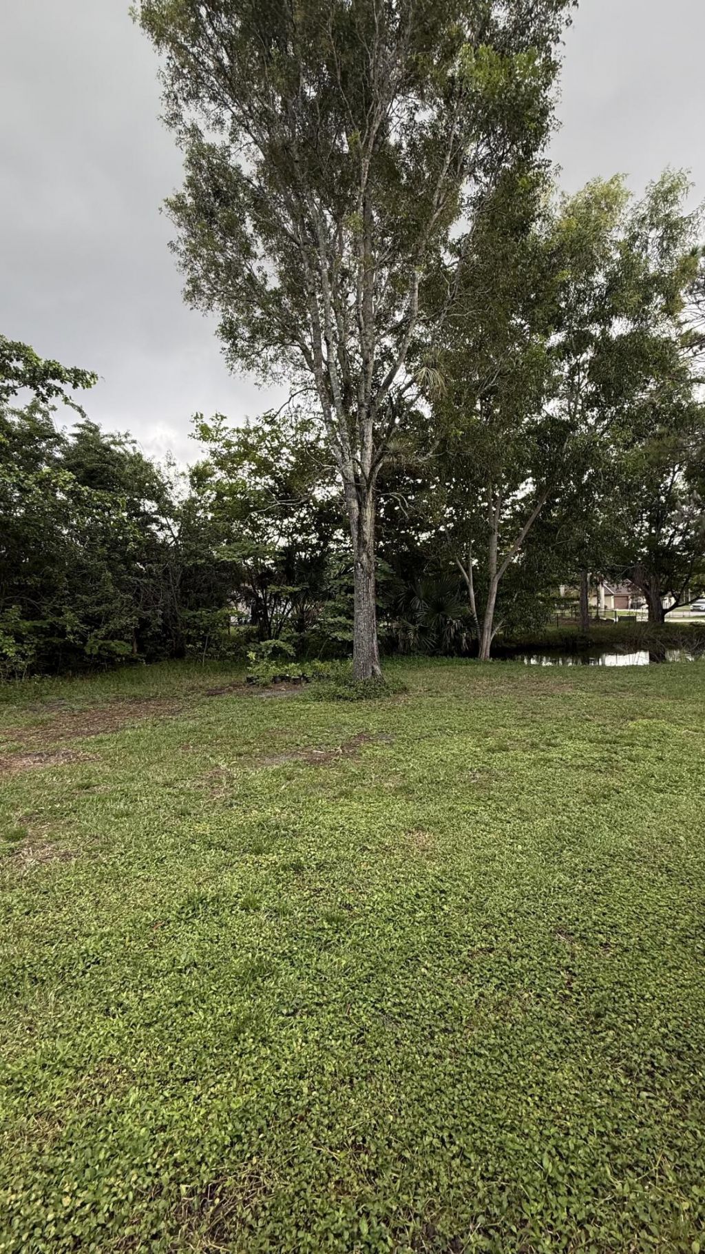 12191 Persimmon Boulevard, West Palm Beach, FL 33411 Photo