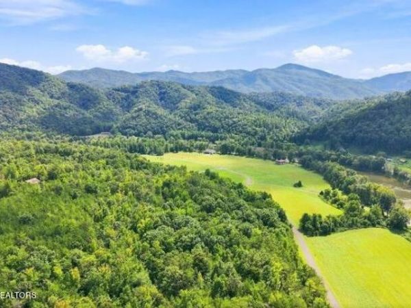 3799 River Rapids Way, Del Rio, TN 37727
