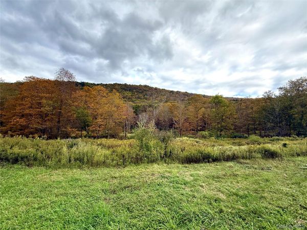 The Gulf Road , Roscoe, NY 12776