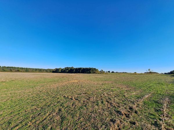 00 Co Rd 96, Rogersville, AL 35652