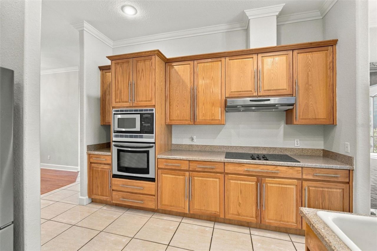 3916 Valrico Grove Drive , Valrico, FL 33594 Photo