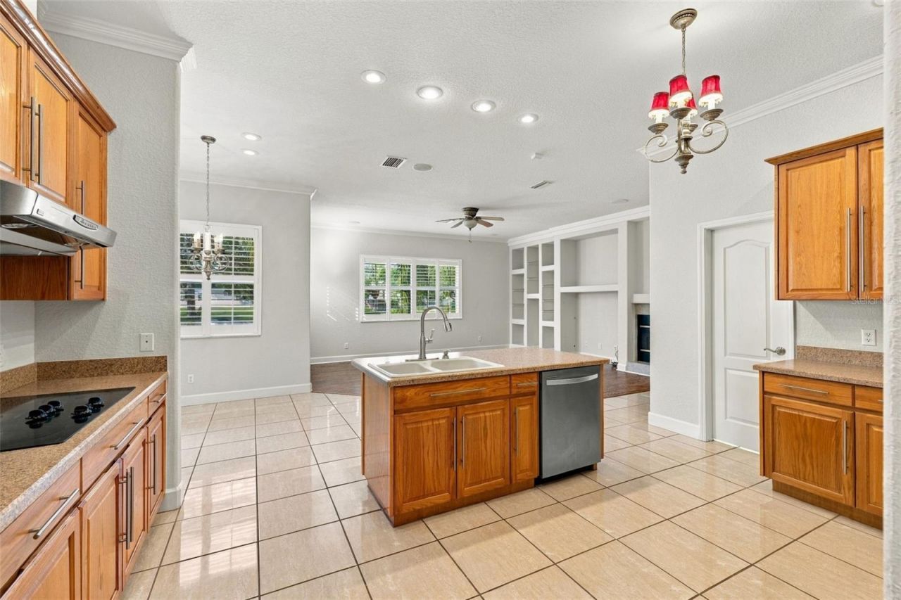 3916 Valrico Grove Drive , Valrico, FL 33594 Photo