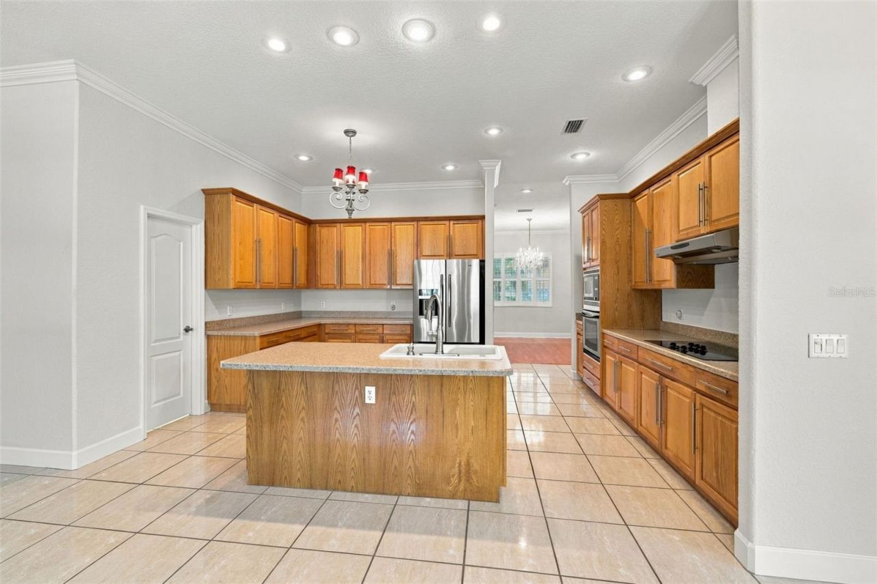 3916 Valrico Grove Drive , Valrico, FL 33594 Photo