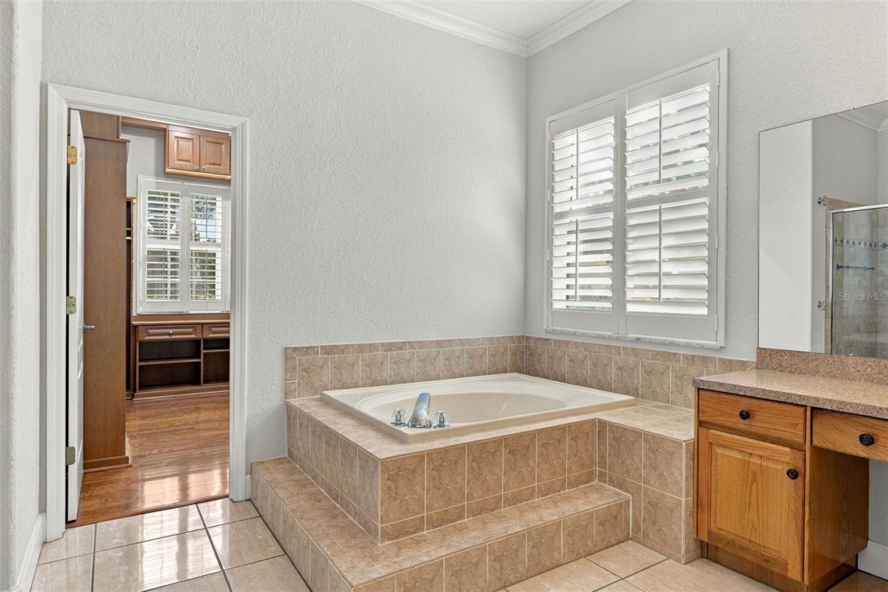 3916 Valrico Grove Drive , Valrico, FL 33594 Photo