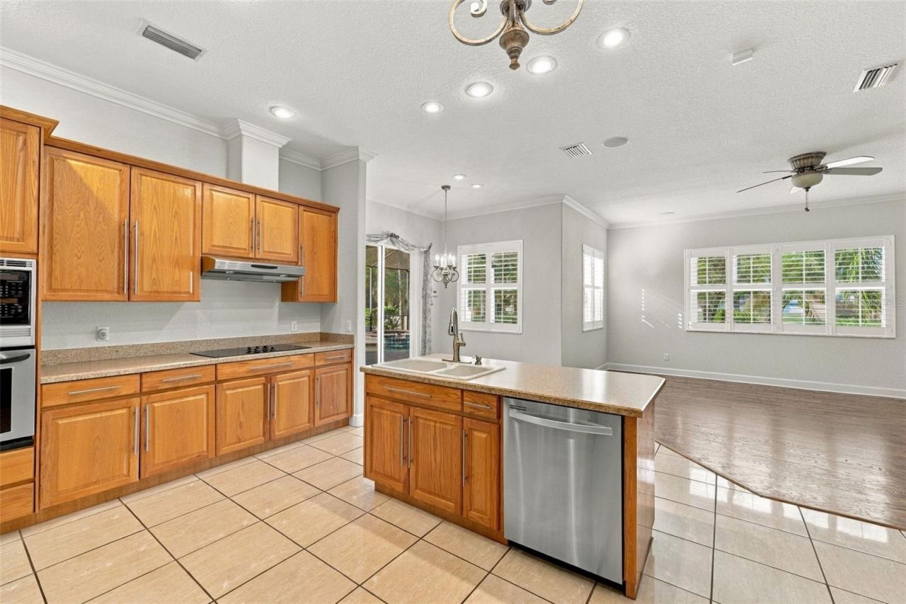 3916 Valrico Grove Drive , Valrico, FL 33594 Photo