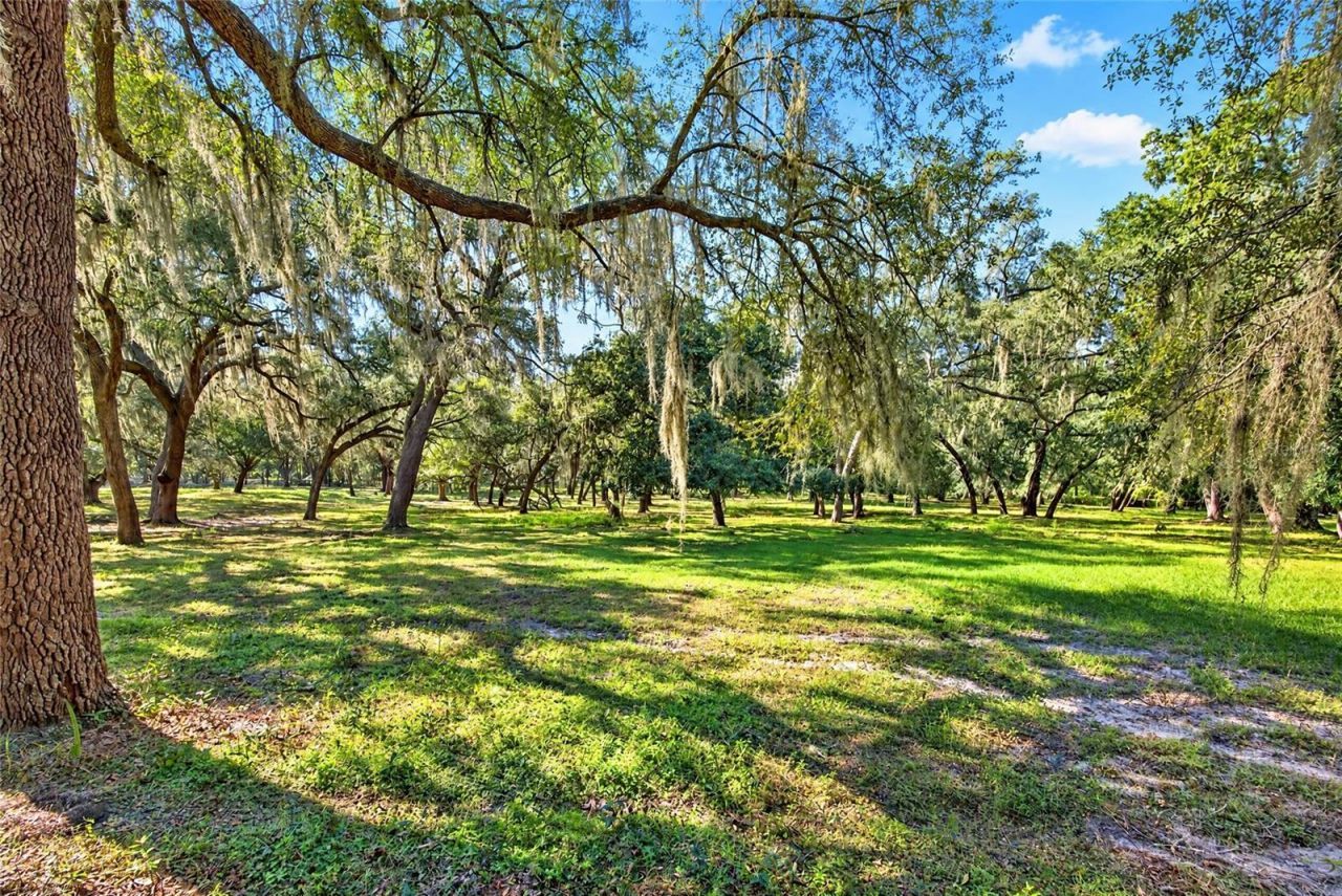 2750 NE 175th Street Road, Citra, FL 32113 Photo
