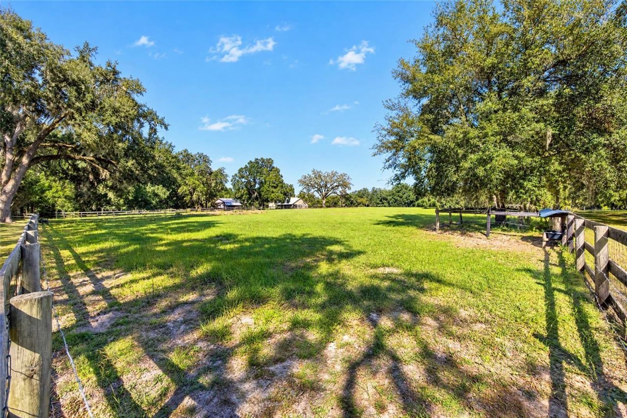 2750 NE 175th Street Road, Citra, FL 32113 Photo