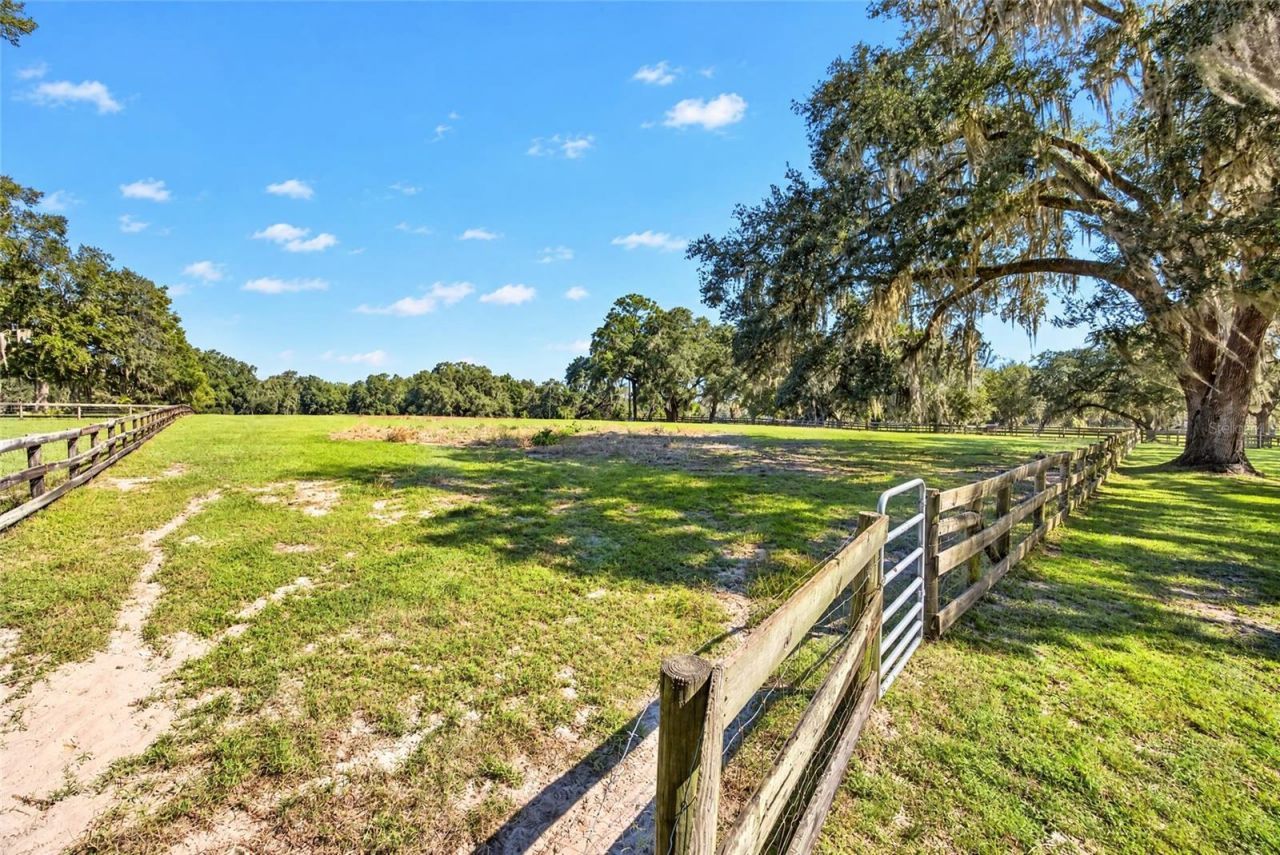 2750 NE 175th Street Road, Citra, FL 32113 Photo