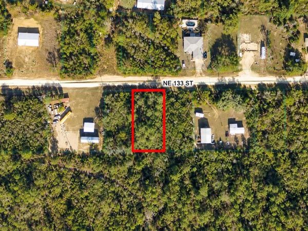 TBD NE 133RD STREET , SALT SPRINGS, FL 32134