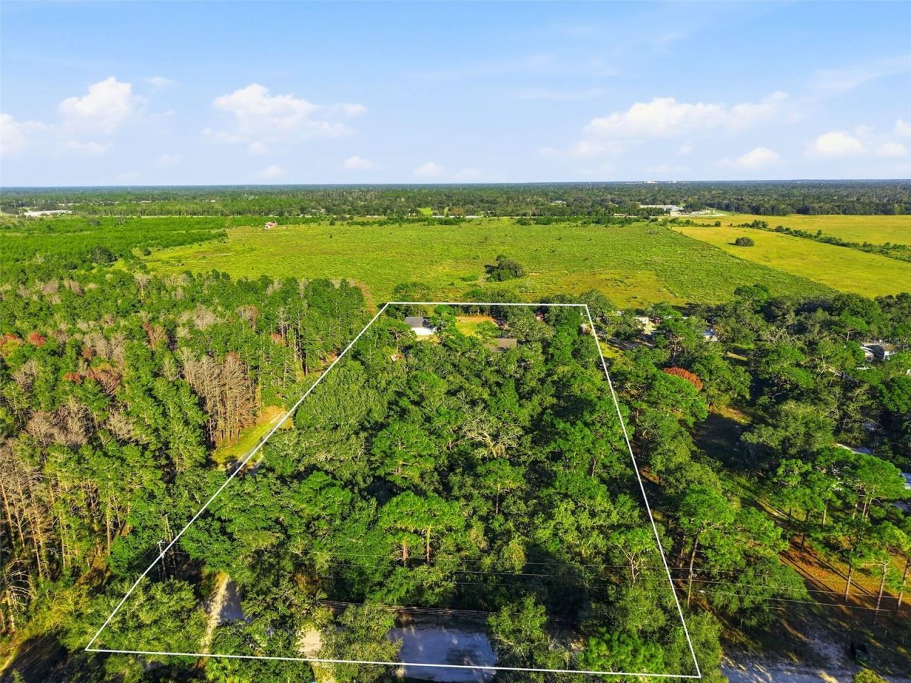 15432 Dennis Drive, Hudson, FL 34669 Photo