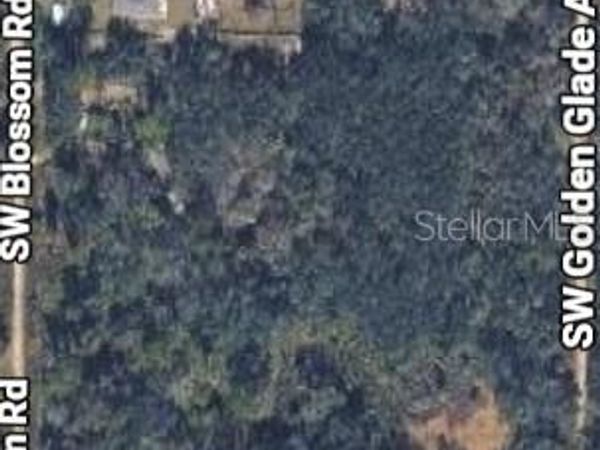 2206 SW BLOSSOM AVENUE , ARCADIA, FL 34266