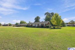 603 Spring St. photo 4