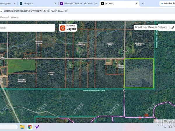 TBD 40 acres County Road 444 Road, Turin Twp, MI 49880