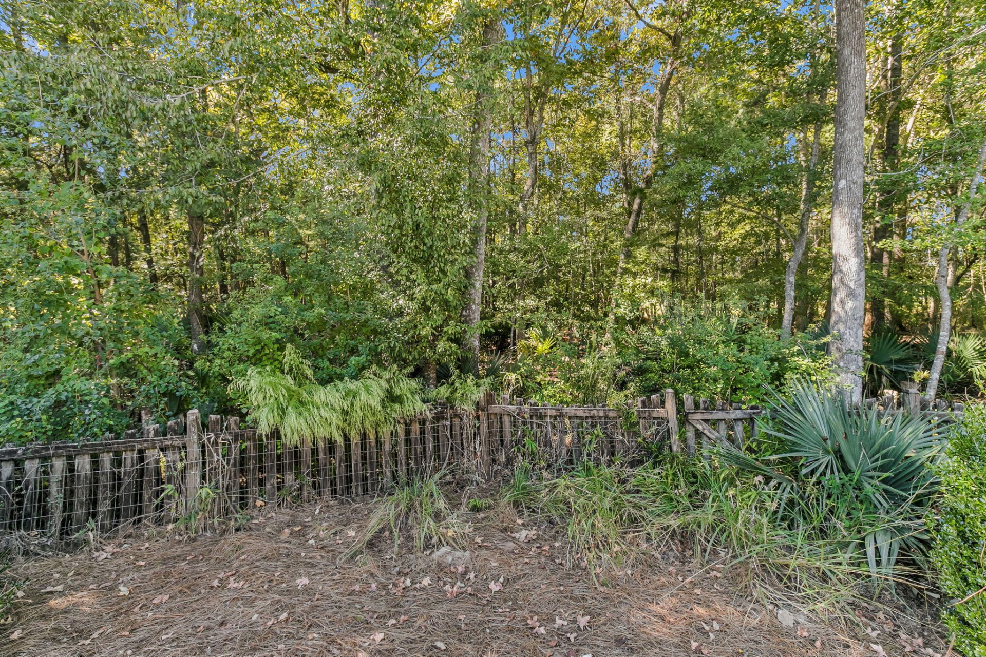 1445 Ashley Garden Boulevard Photo 31