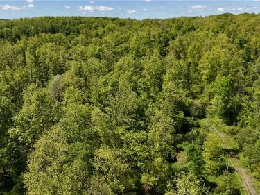 0 Forest Avenue Extension, Jamestown, NY 14701