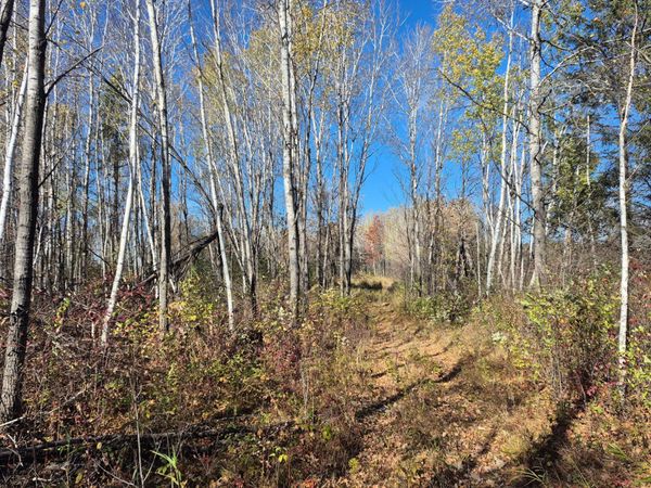 TBD Henry Road , Finlayson, MN 55735