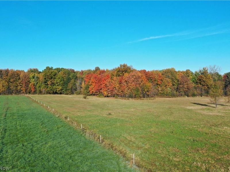 272 State Route 58, Sullivan, OH 44880 Photo 2